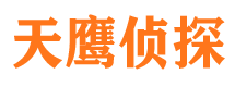 大悟侦探公司